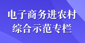 电子商务进农村综合示范专栏