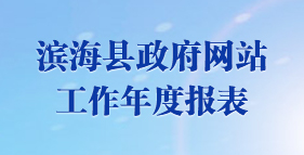 滨海县政府网站工作年度报表